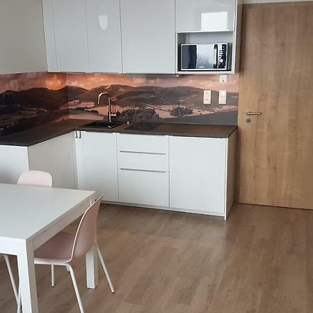 Apartmany Dolní Morava 外观 照片