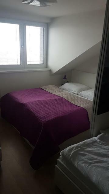 Apartmany Dolní Morava 外观 照片